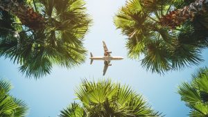 Passenger plane flying overhead between palm trees against a clear blue sky