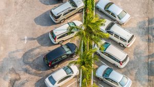 Cars parked in marked bays beside a row of palm trees, seen from above